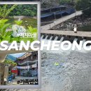 예치민박