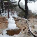 함박눈