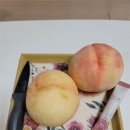 경희정성한의원 이미지