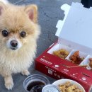 블루리본 가평 닭강정 포장후기:유일닭강정 가평맛집