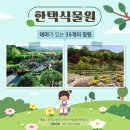 수목원 이미지