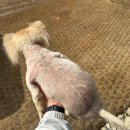 도매시장로 이미지