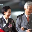 강신성일 카카오 검색결과