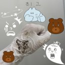 월곡역 4번출구 | 월곡 피부관리 도도미 에스테틱 단골 후기 : 세라링 눈썹 왁싱