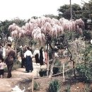 광주 전남의 옛 모습 이미지