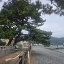 큰솔펜션 이미지