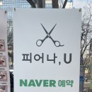 피어나,U 네이버블로그