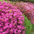 금수산민박 이미지