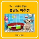 애견동반 프라이빗 찜질방 휴일도 이천점 방문후기