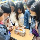 용인한얼초등학교 이미지