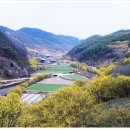 내고향 의성 산수유 마을 축제| 이미지