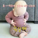 포남초 앞 이미지