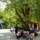 한전초등학교 이미지