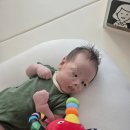 세탁은여기 | 블루래빗 코야 내돈내산｜오감자극은 합격, 세탁은…(솔직후기)