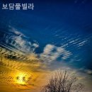 보담풀빌라 이미지