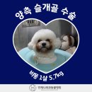 언제나동물병원 이미지