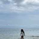 해변의 꿈 | [롬복핑크비치] 인도네시아 핑크해변 투어를 꿈꾼다면,, 이글을 꼭 보세요🩷