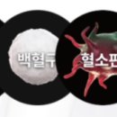김완호정형외과의원 이미지