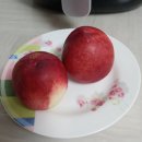 한라농자재 | 자연주의 저탄소인증 신비 복숭아 칼로리 영양정보 맛설명
