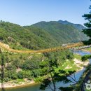 느티골길 이미지