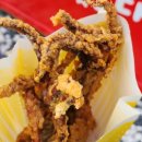 가을나드리투어 이미지