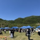 [평생학습하는 동구네 가족]신나는 주말 가족 숲놀이 | 동해 가볼만한곳, 아이와 함께한 동해 무릉별유천지 어린이날 행사 찐 후기!