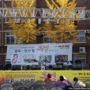 진건약품 이미지