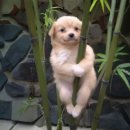 강병준 | 난 가끔 눈물을 흘린다, 뚝뚝