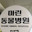 한주동물병원약품 | 진해 동물병원 : 확장이전! 더 넓고 쾌적해진 장천동 마린동물병원