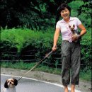 김형자 카카오 검색결과