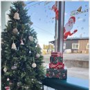 일도노스테이 이미지