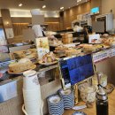 더스시투어 | 부산 사하구 스시 맛집 다대포 회전초밥 맛집 스시투어 내돈내산 후기