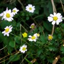 구남농장 이미지