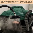 누문동 교보생명빌딩 앞 | 종로 두피관리 추천 두랩스 교보종로점 DODO 면역관리 헤드스파 후기