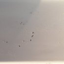 (주)시흥현대모터스 이미지