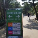 솔향이 진한 이미지