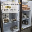 영농조합법인 합천효심푸드 | [진주/평거동] 24시 무인 계란판매장, 계란집 방문 후기