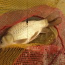 함박골낚시터 이미지