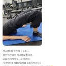 팔머메디스포츠 이미지