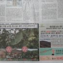 김재옥농장 네이버블로그