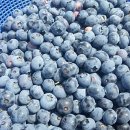 경순농장 이미지