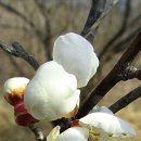 소현1리 이미지