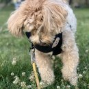 국민청소년수련원 이미지