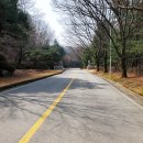 벤제프강남 | 충청권 회원제 국내 골프장여행 - 천룡cc 리얼 후기