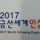2017 錦山世界人参エキスポ (2017 World Ginseng Expo. Geumsan. korea) 이미지
