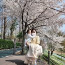 세화네