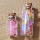 알파짱 코인노래연습장 이미지