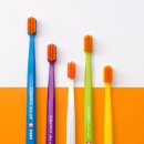 덴탈투게더 이미지