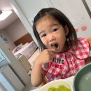 자연과치유 | 유아 콩다래끼 자연치유 경과 및 후기 (시기별 경과 사진 있음)