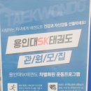 용인대 SK 태권도 이미지